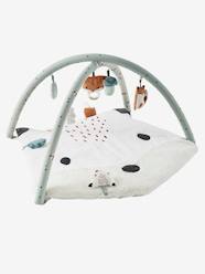 -Activity Mat Fox