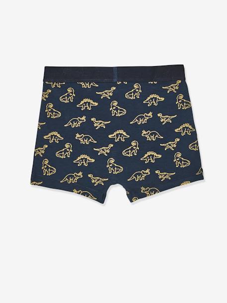 Pack of 5 Stretch Boxer Shorts, Dino, for Boys Dark Blue/Print 