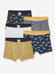 Boys-Underwear-Underpants & Boxers-Pack of 5 Stretch Boxer Shorts, Dino, for Boys