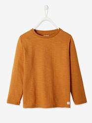 Boys-Long Sleeve Colour Top for Boys