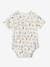 Pack of 3 Short Sleeve Bodysuits for Newborn Babies Light Green 