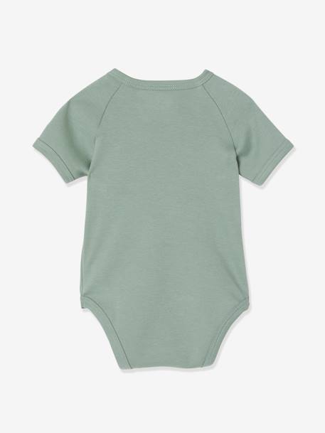 Pack of 3 Short Sleeve Bodysuits for Newborn Babies Light Green 