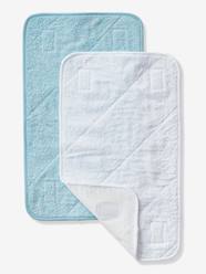 -Pack of 2 Changing Pads, Basics