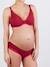 Maternity & Nursing Bra with Underwires, Milk by CACHE COEUR Black+Dark Red+Green+PINK LIGHT SOLID 