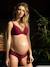 Maternity & Nursing Bra with Underwires, Milk by CACHE COEUR Black+Dark Red+Green+PINK LIGHT SOLID 