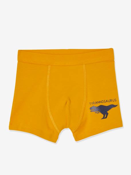 Pack of 7 Stretch Boxers for Boys, Dinosaurs White 