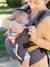 Cuddle Up Baby Carrier, by INFANTINO grey+ORANGE DARK 2 COLOR/MULTICOL 