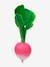 Ramona the Radish Teether, by OLI & CAROL PINK MEDIUM SOLID 