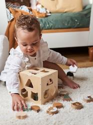 Toys-Baby & Pre-School Toys-Early Learning & Sensory Toys-Box of Shape Sorting Animals, Green Forest - Wood FSC® Certified