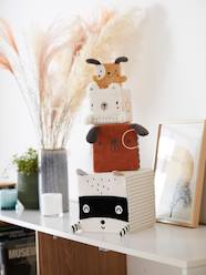 -Fabric Cubes, Cute Raccoon