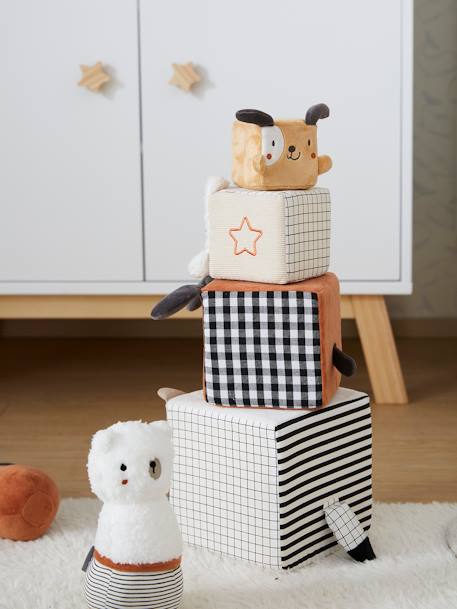 Fabric Cubes, Cute Raccoon Multi 