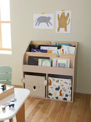 Storage Unit with 2 Cubbyholes + Bookcase, School