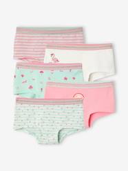 Girls-Underwear-Knickers-Pack of 5 Shorties for Girls