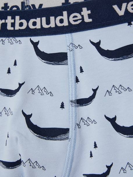 Pack of 5 Stretch Whale Boxer Shorts for Boys BLUE LIGHT ALL OVER PRINTED 