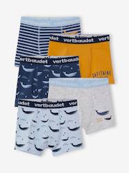 -Pack of 5 Stretch Whale Boxer Shorts for Boys