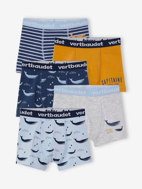 Pack of 5 Stretch Whale Boxer Shorts for Boys BLUE LIGHT ALL OVER PRINTED 