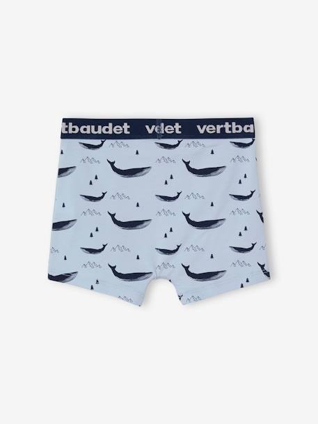 Pack of 5 Stretch Whale Boxer Shorts for Boys BLUE LIGHT ALL OVER PRINTED 