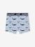 Pack of 5 Stretch Whale Boxer Shorts for Boys BLUE LIGHT ALL OVER PRINTED 