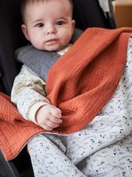 -Reversible Throw for Pushchair, Hanoi Theme