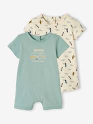 Pack of 2 Playsuit Pyjamas for Baby Boys