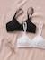 Pack of 2 Bras in Stretch Cotton, Maternity & Nursing Special BEIGE LIGHT SOLID+BLACK DARK SOLID 