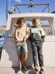 Boys-Shorts-Bermuda Shorts for Boys