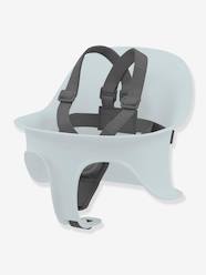 -Lemo Harness for the Baby Set by CYBEX