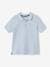 Short Sleeve Polo Shirt, Embroidery on the Chest, for Boys BLUE LIGHT SOLID WITH DESIGN+BLUE MEDIUM SOLID WITH DESIGN+electric blue+Green+GREY MEDIUM MIXED COLOR+pastel yellow+Red+WHITE LIGHT SOLID WITH DESIGN 