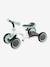 3-in-1 Learning Bike - GLOBBER white 