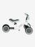 3-in-1 Learning Bike - GLOBBER white 