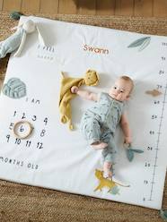 Bedding & Decor-Decoration-Baby Milestones Photo Mat, Hanoi