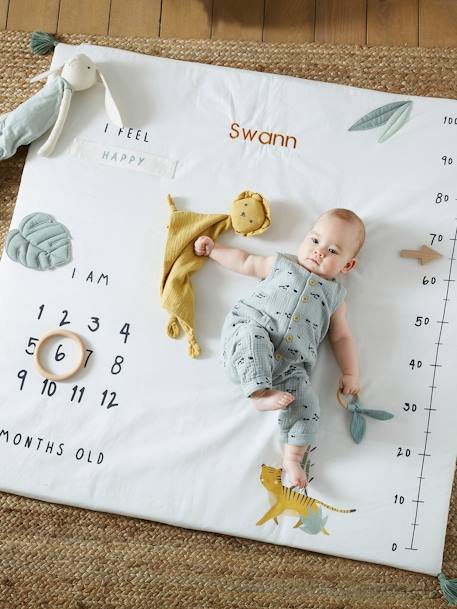 Baby Milestones Photo Mat, Hanoi WHITE LIGHT SOLID WITH DESIGN 