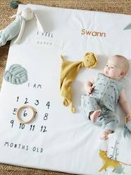 Bedding & Decor-Baby Bedding-Baby Milestones Photo Mat, Hanoi