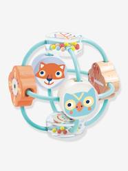 Toys-Baby & Pre-School Toys-BabyBali Multisensory Ball - DJECO