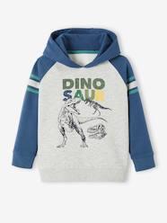 Boys-Hoodie with Graphic Motif & Raglan Sleeves for Boys