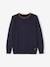 Fine Knit Colour Jumper for Boys BEIGE LIGHT MIXED COLOR+BLUE DARK SOLID WITH DESIGN 