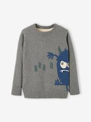 Boys-Jacquard Jumper with Fun Motif for Boys