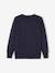 Fine Knit Colour Jumper for Boys BEIGE LIGHT MIXED COLOR+BLUE DARK SOLID WITH DESIGN 