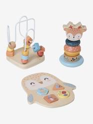 -Enchanted Forest Box Set with 3 Early Learning Toys in FSC® Wood