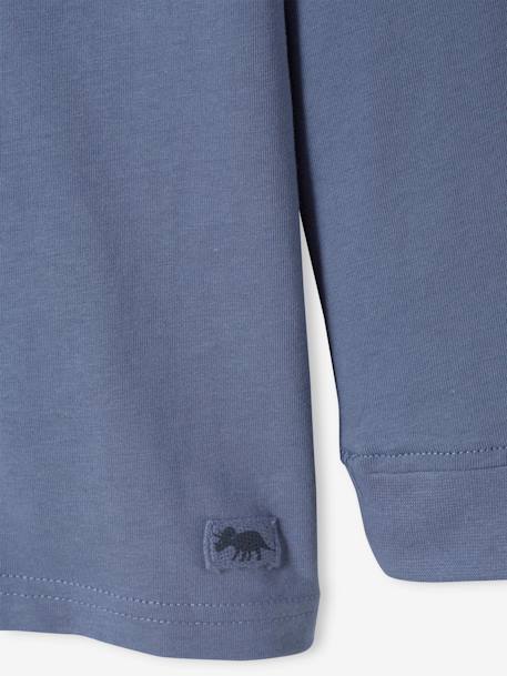 Pack of 2 Long-Sleeved Polo Shirts for Boys BLUE MEDIUM TWO COLOR/MULTICOL+Dark Blue+green+GREY MEDIUM TWO COLOR/MULTICOL 