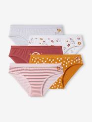 Little Girls Knickers Brown - Girls Underwear and Briefs for Kids