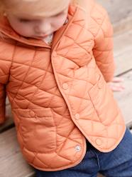 Padded Jacket with Hood for Babies