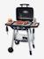 Barbecue Grill - SMOBY black 