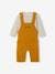 Fleece Top & Dungarees Ensemble, for Babies BROWN MEDIUM SOLID+marl grey 