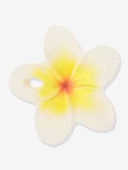 Toys-Baby & Pre-School Toys-Hawaii the Flower - OLI & CAROL