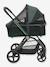 Mysa Carrycot by CHICCO black+green+grey 