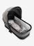 Mysa Carrycot by CHICCO black+green+grey 