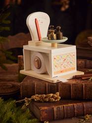 -Kitchen Scales in FSC® Wood