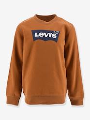 Boys-Batwing Crewneck Sweatshirt for Boys, by Levi's®