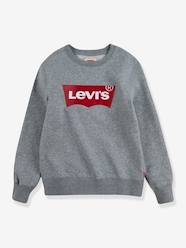 -Batwing Crewneck Sweatshirt for Boys, by Levi's®